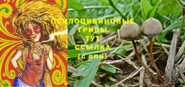 2c-b Баксан